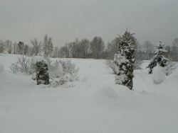 Unterkunft Bartonička im Winter